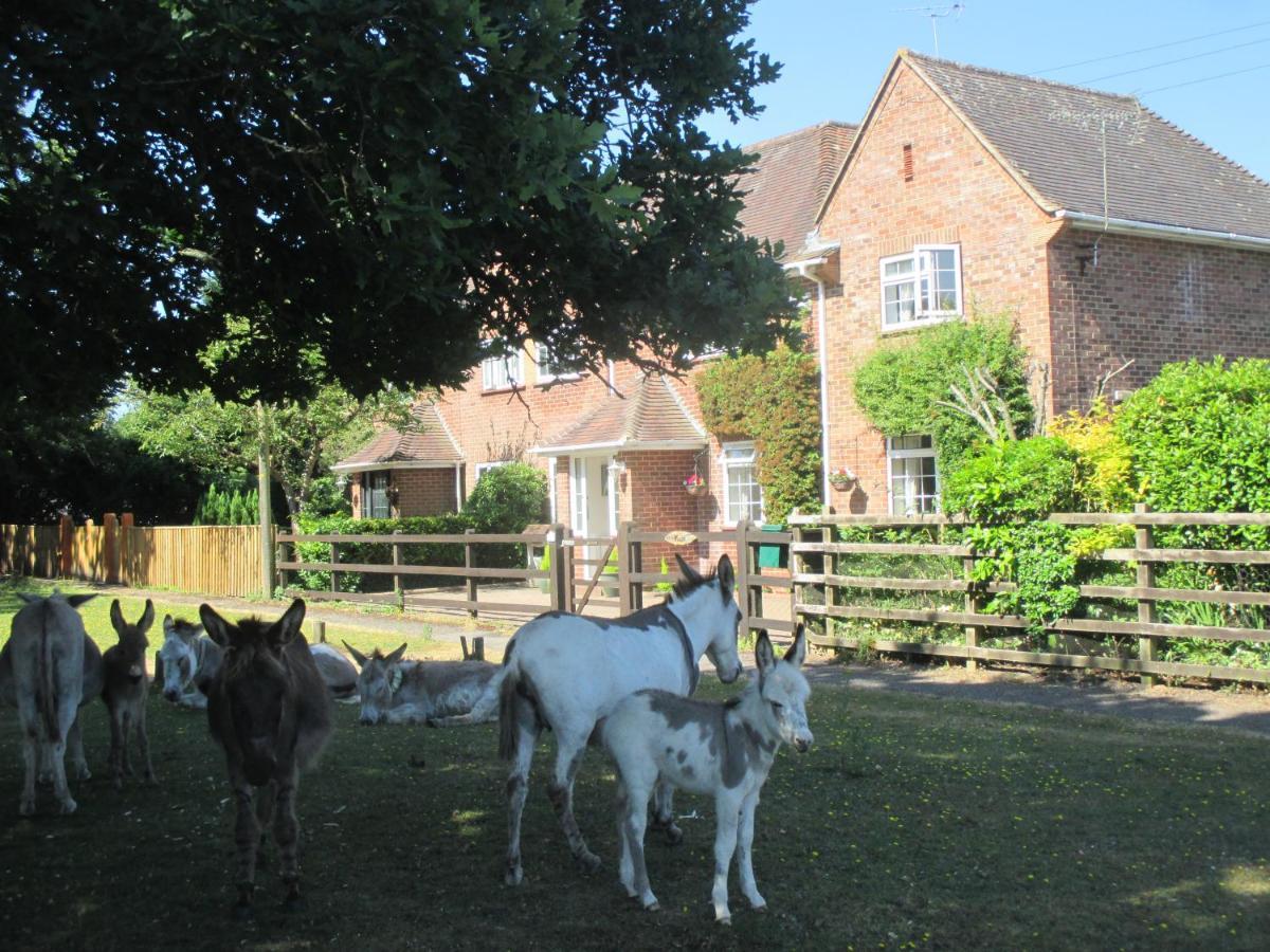 Hops Main House, Brockenhurst, New Forest Villa Exterior foto