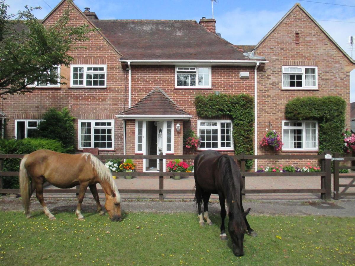 Hops Main House, Brockenhurst, New Forest Villa Exterior foto