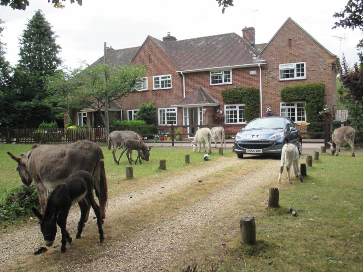 Hops Main House, Brockenhurst, New Forest Villa Exterior foto